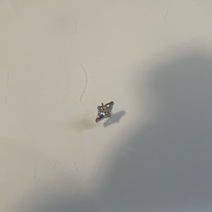 Buddah ethereal rose